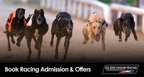 www igb ie results|kingdom greyhound track results tonight.